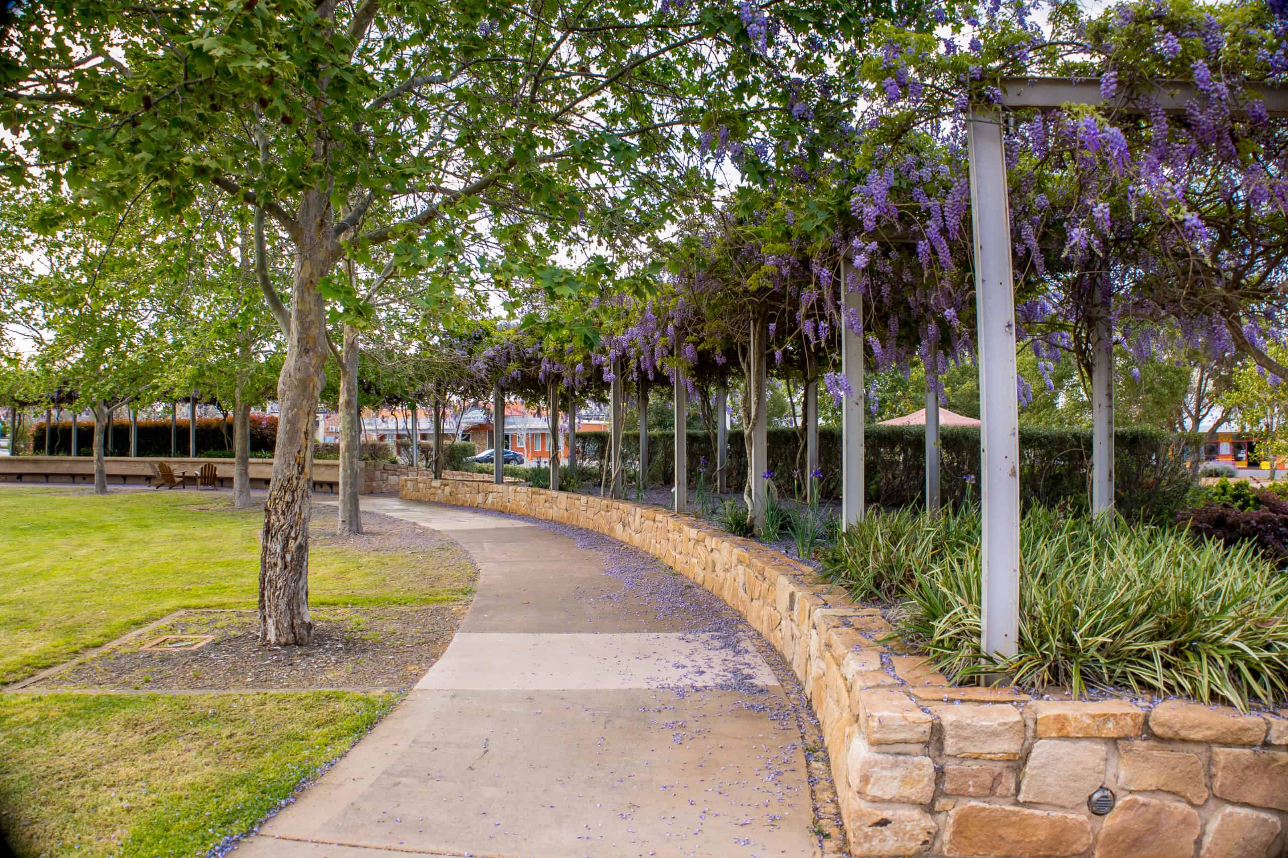 Toowoomba Chamber Regional Alliance Crows Nest