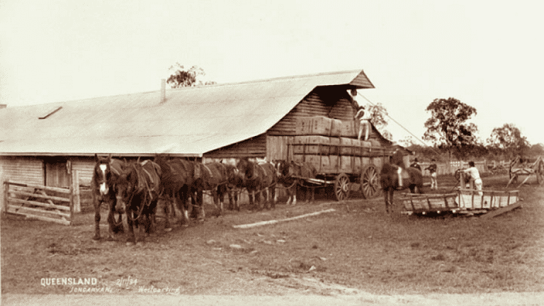 Jondaryn Woolshed