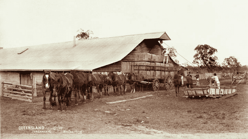 Jondaryan Woolshed queensland-state-archives-62-november-1894